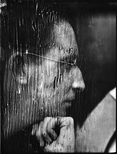 [Dwight MacDonald (Right Profile)]