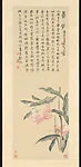 現代 吳湖帆 曇花圖 軸|Night-blooming Cereus