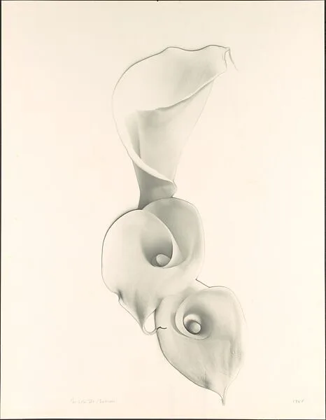 Solarized Calla Lilies — Carlotta M. Corpron