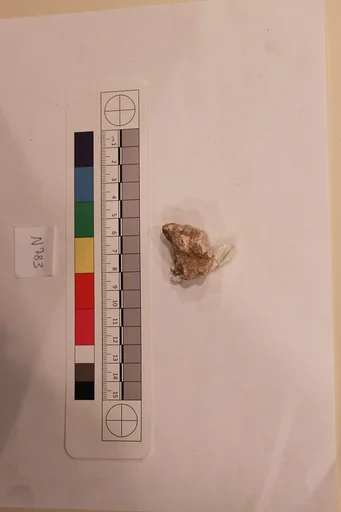 Stucco Fragment