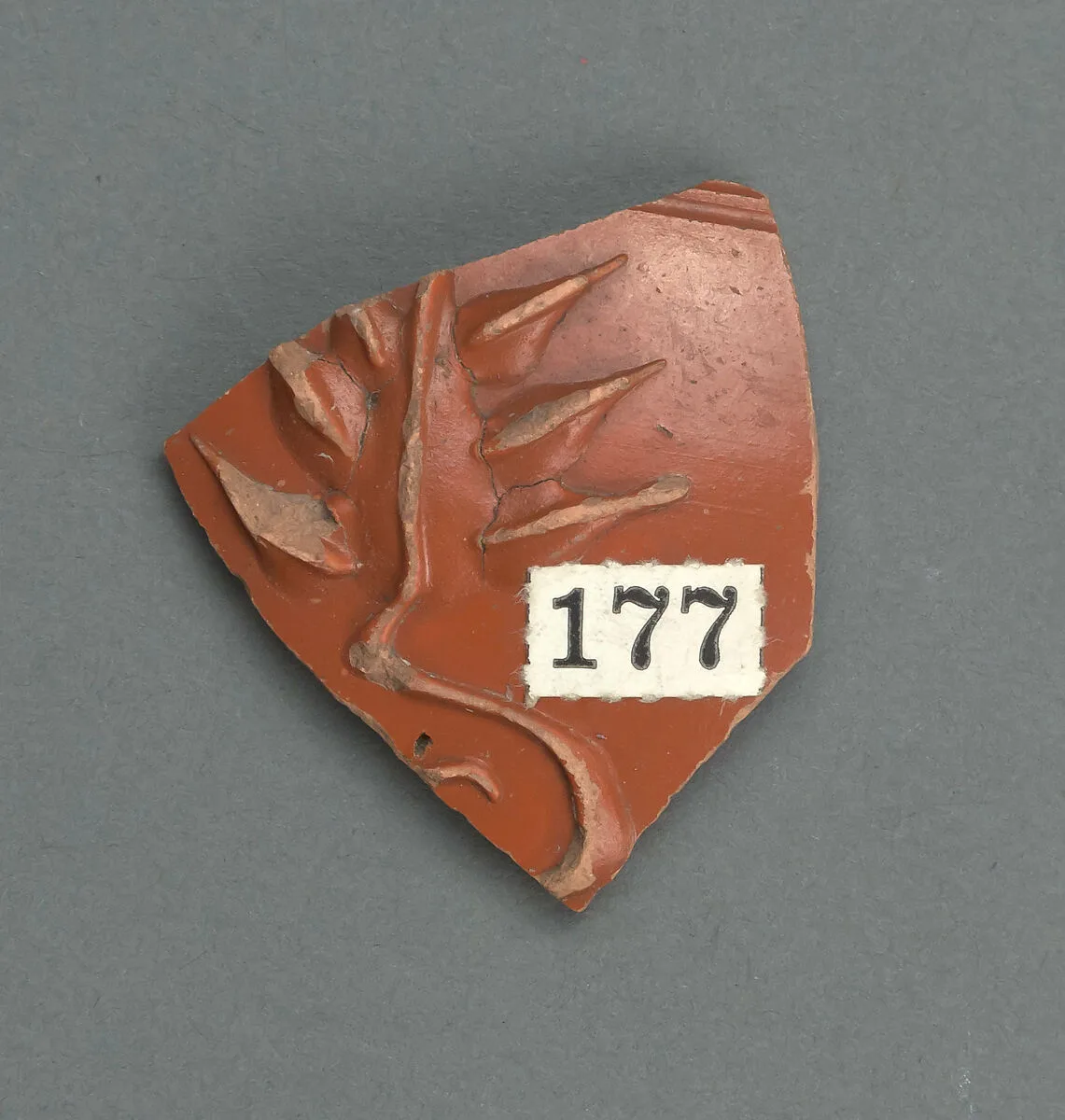 Vase fragment — Unknown