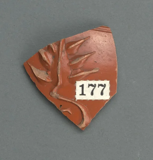 Vase fragment