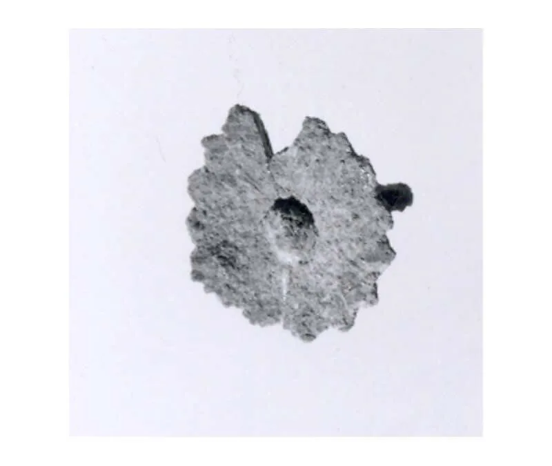 Rosette — Unknown