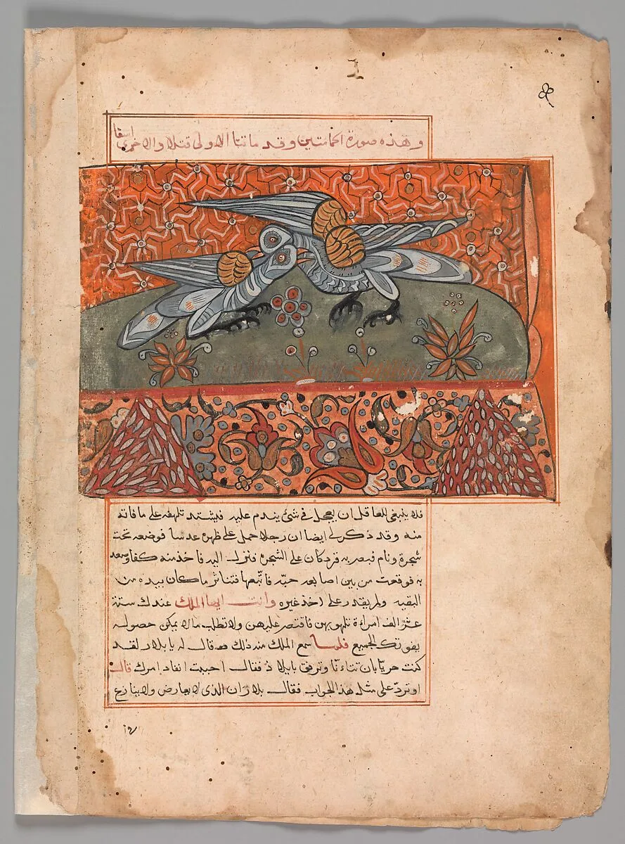 "The Male Dove Pecking the Female Dove", Folio from a Kalila wa Dimna — Unknown
