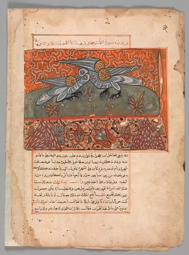 "The Male Dove Pecking the Female Dove", Folio from a Kalila wa Dimna