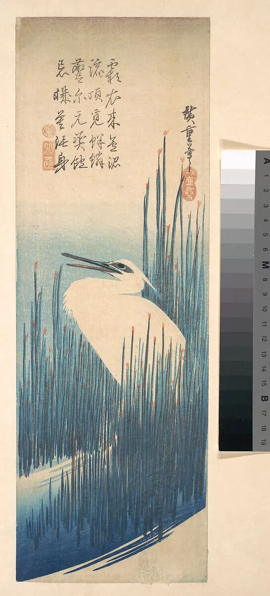 歌川広重画 芦に鷺|White Heron Standing among Reeds — Utagawa Hiroshige