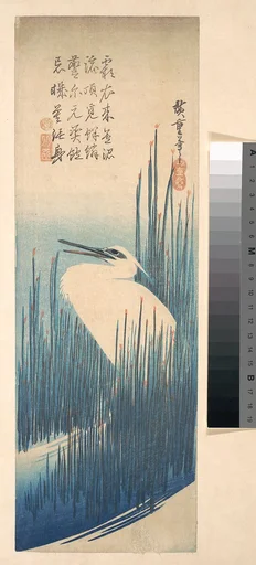 歌川広重画 芦に鷺|White Heron Standing among Reeds