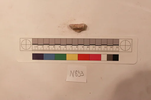 Stucco Fragment