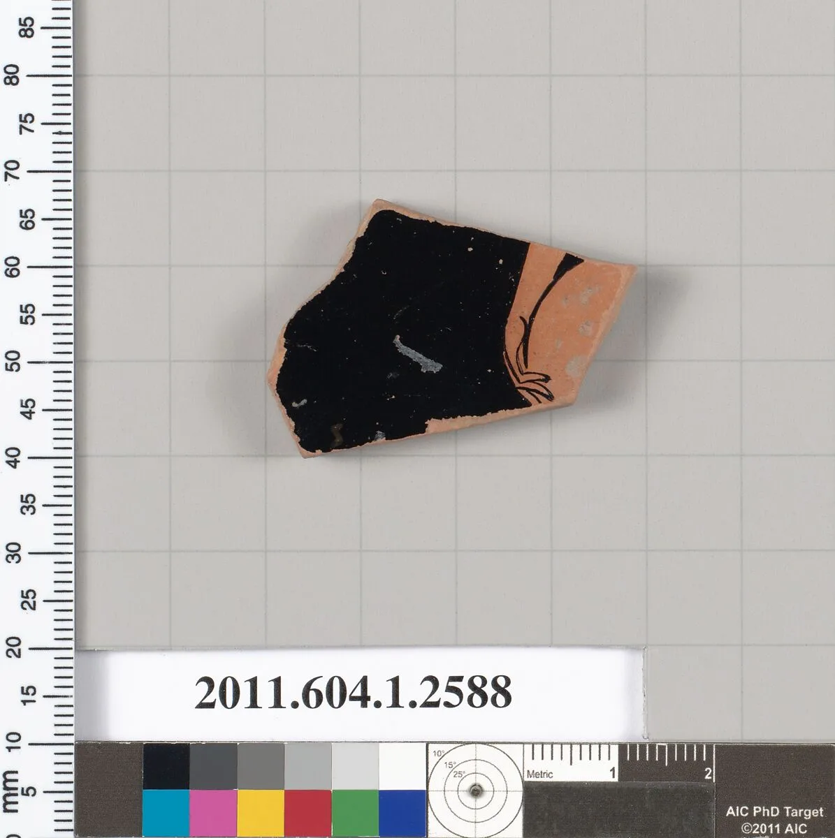 Terracotta fragment of a kylix (drinking cup) — Unknown