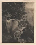 The Enchanted Tree