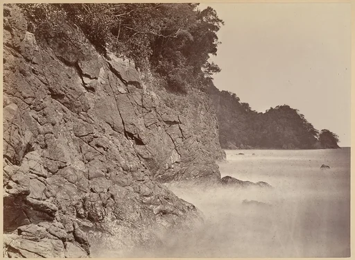 Tropical Scenery, Cliff - Limon Bay