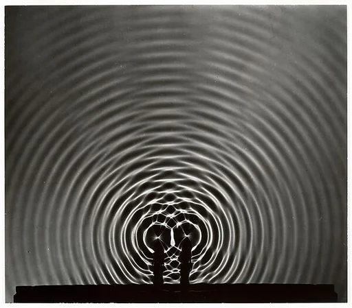 [Wave Interference Pattern]