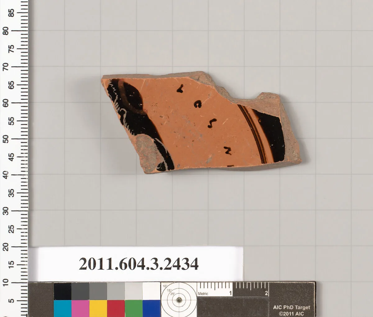 Terracotta fragment of a kylix (drinking cup) — Unknown