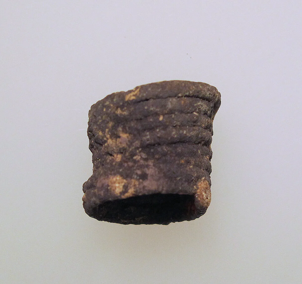 Earring or spiral — Unknown