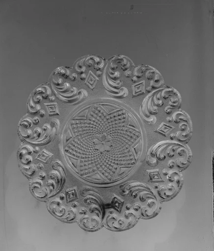 Dish