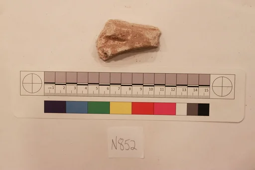 Stucco Fragment