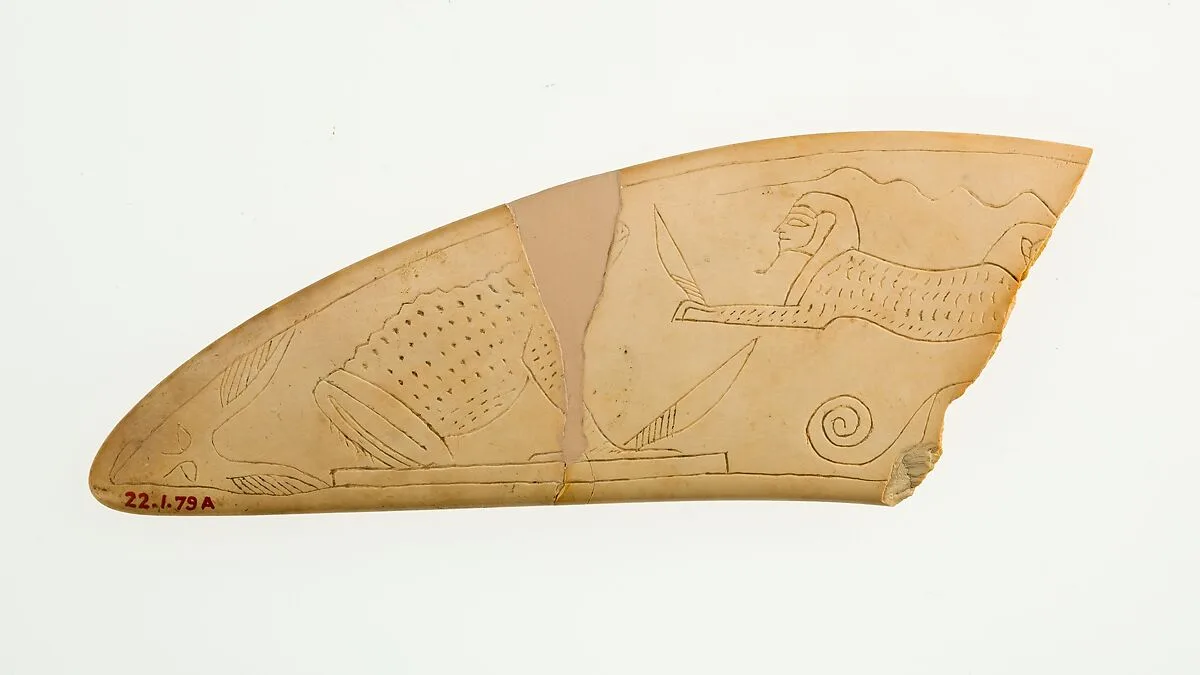 Magic Wand fragment — Unknown