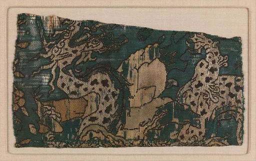 Textile Fragment