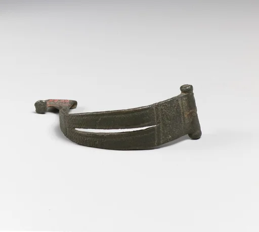 Fibula