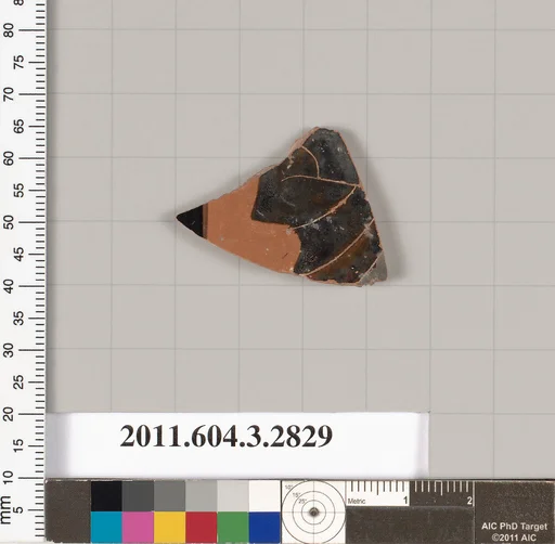 Terracotta fragment of an oinochoe (jug) or an olpe (jug)?