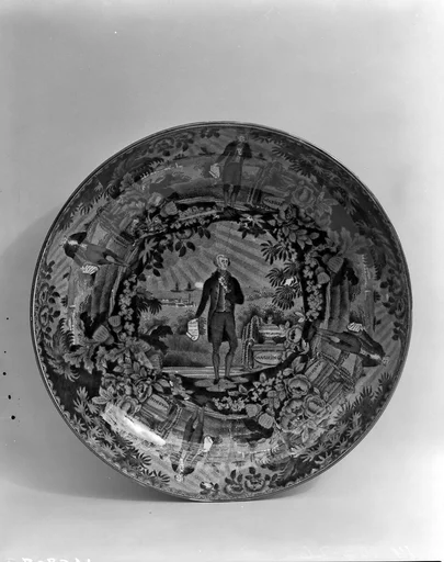 Dish