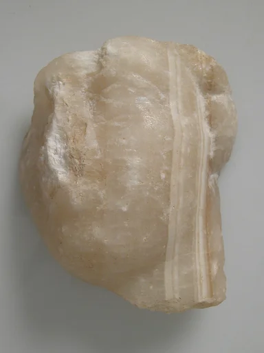 Head Fragment