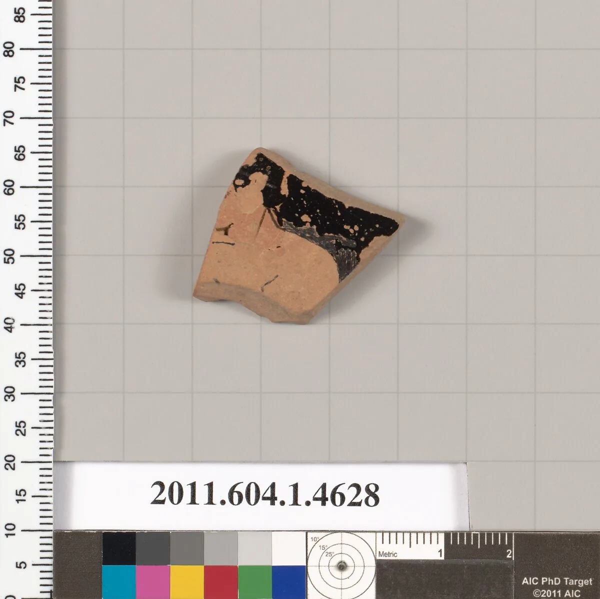 Terracotta fragment of a kylix (drinking cup) — Unknown