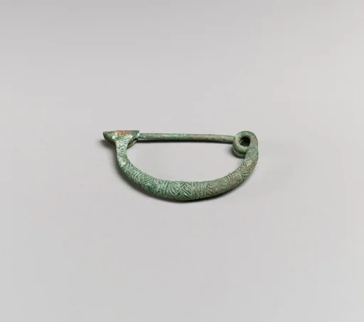 Fibula