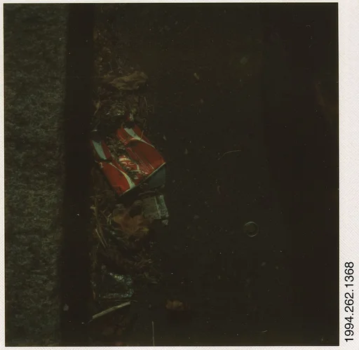 [Gutter Trash: Paper Coke Cup and Leaves]