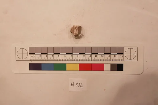 Stucco Fragment