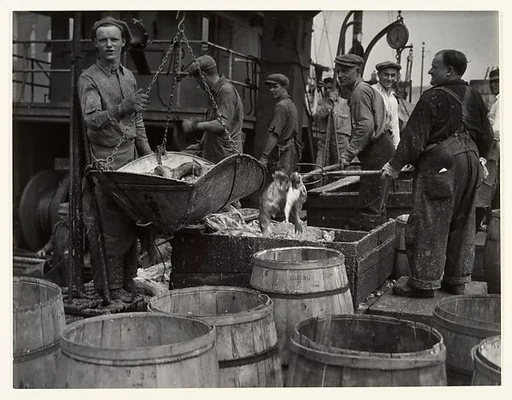 [Fishermen, Fulton Street Dock, New York]