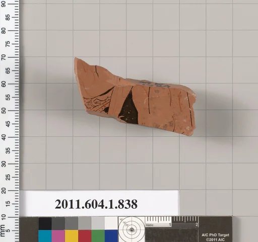 Terracotta fragment of a kylix (drinking cup)