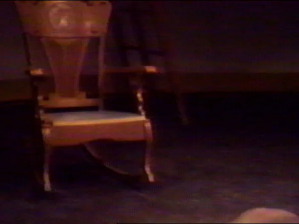 Furniture — William Wegman