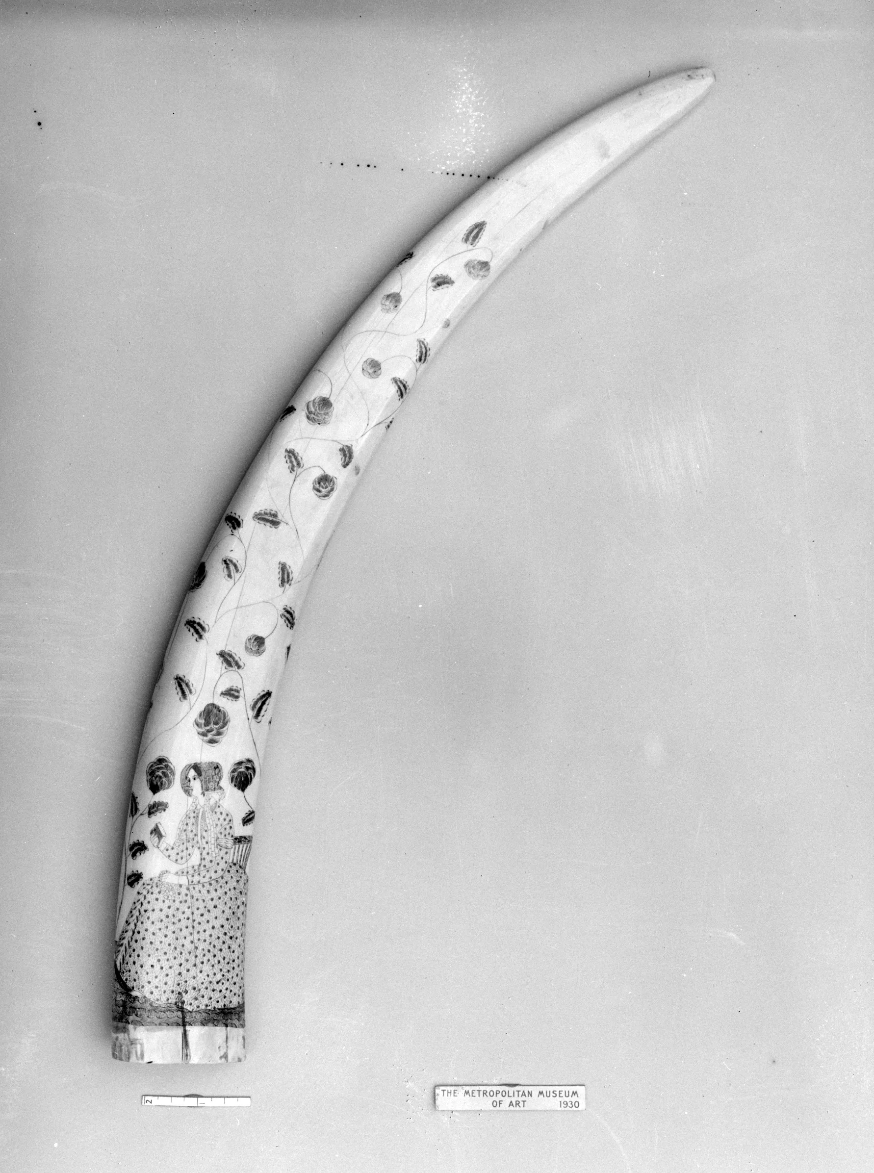 Decorated Walrus Tusk — Unknown