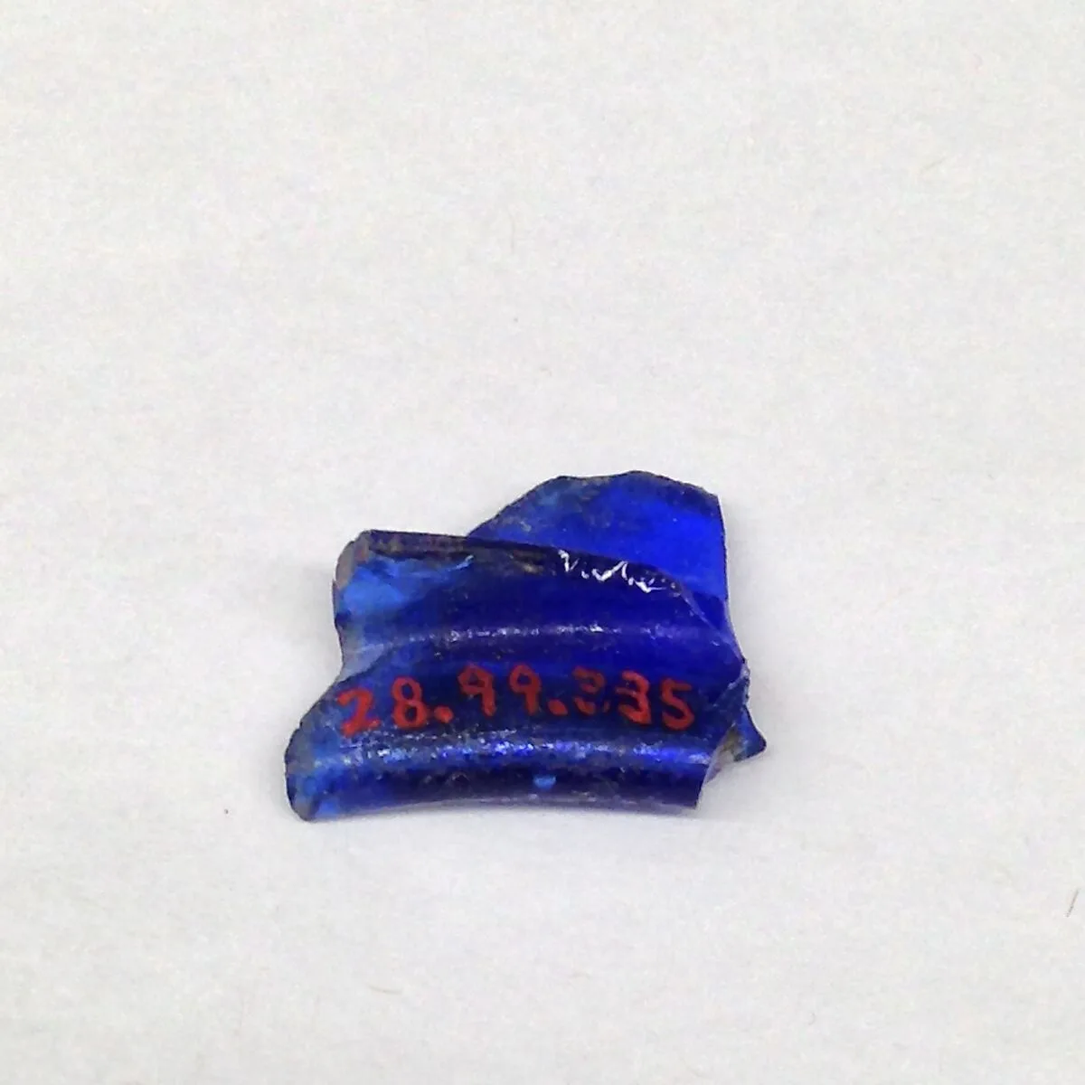 Fragment — Unknown