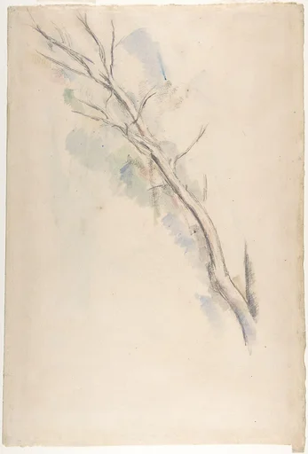 Studies of a tree (recto and verso)