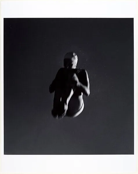 Tuck Dive — John Gutmann