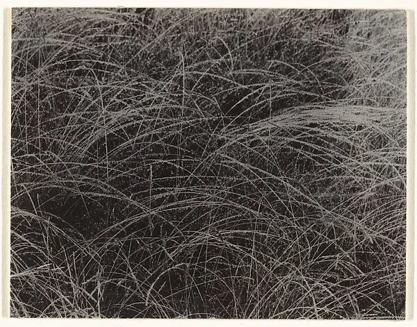 Rain Drops — Alfred Stieglitz