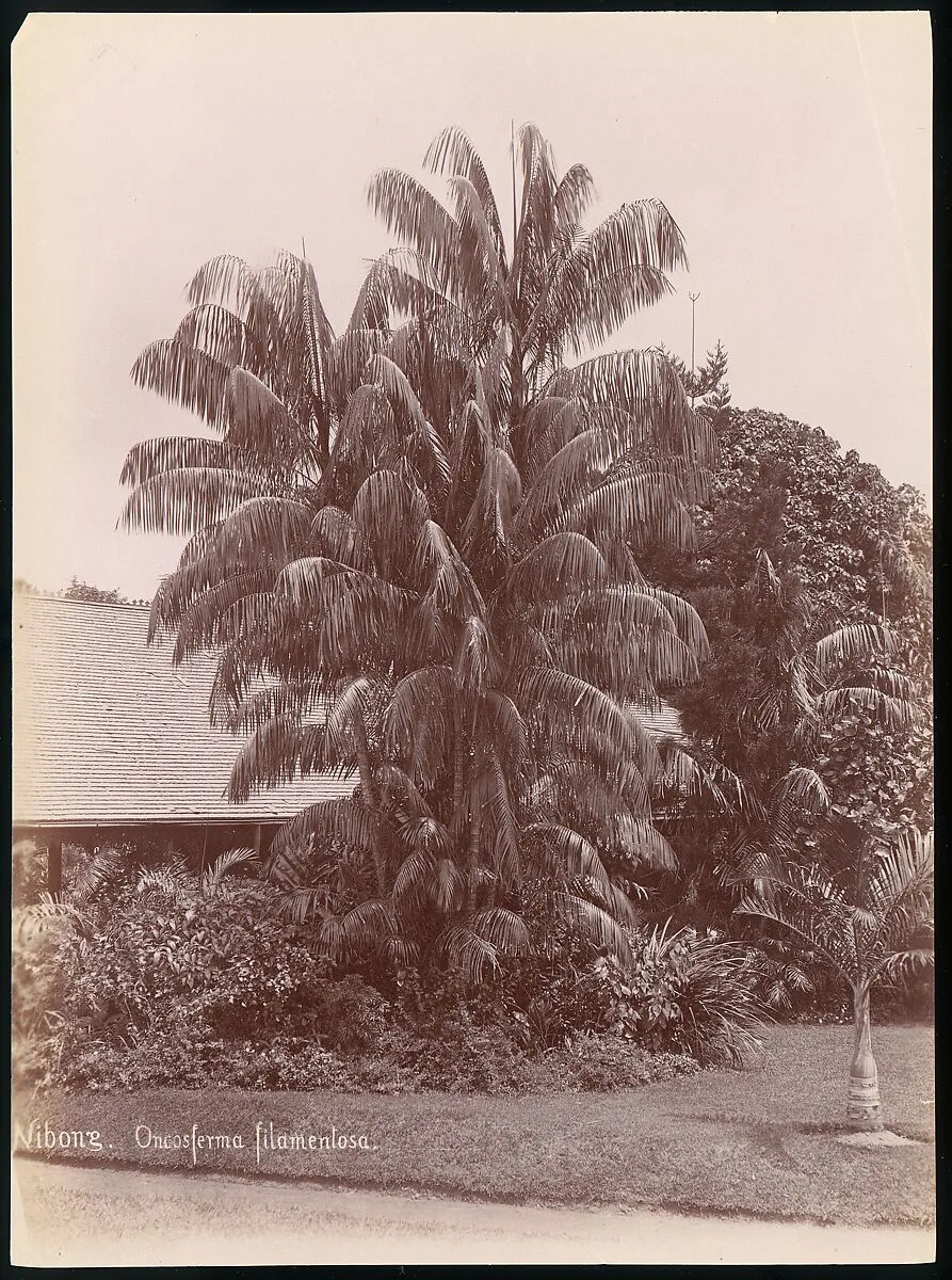 Botanical Garden — Unknown