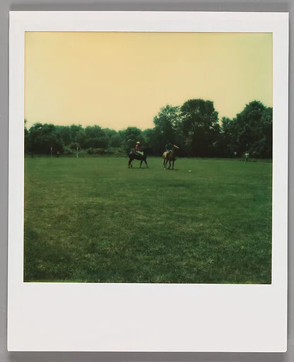 [Polo Match]