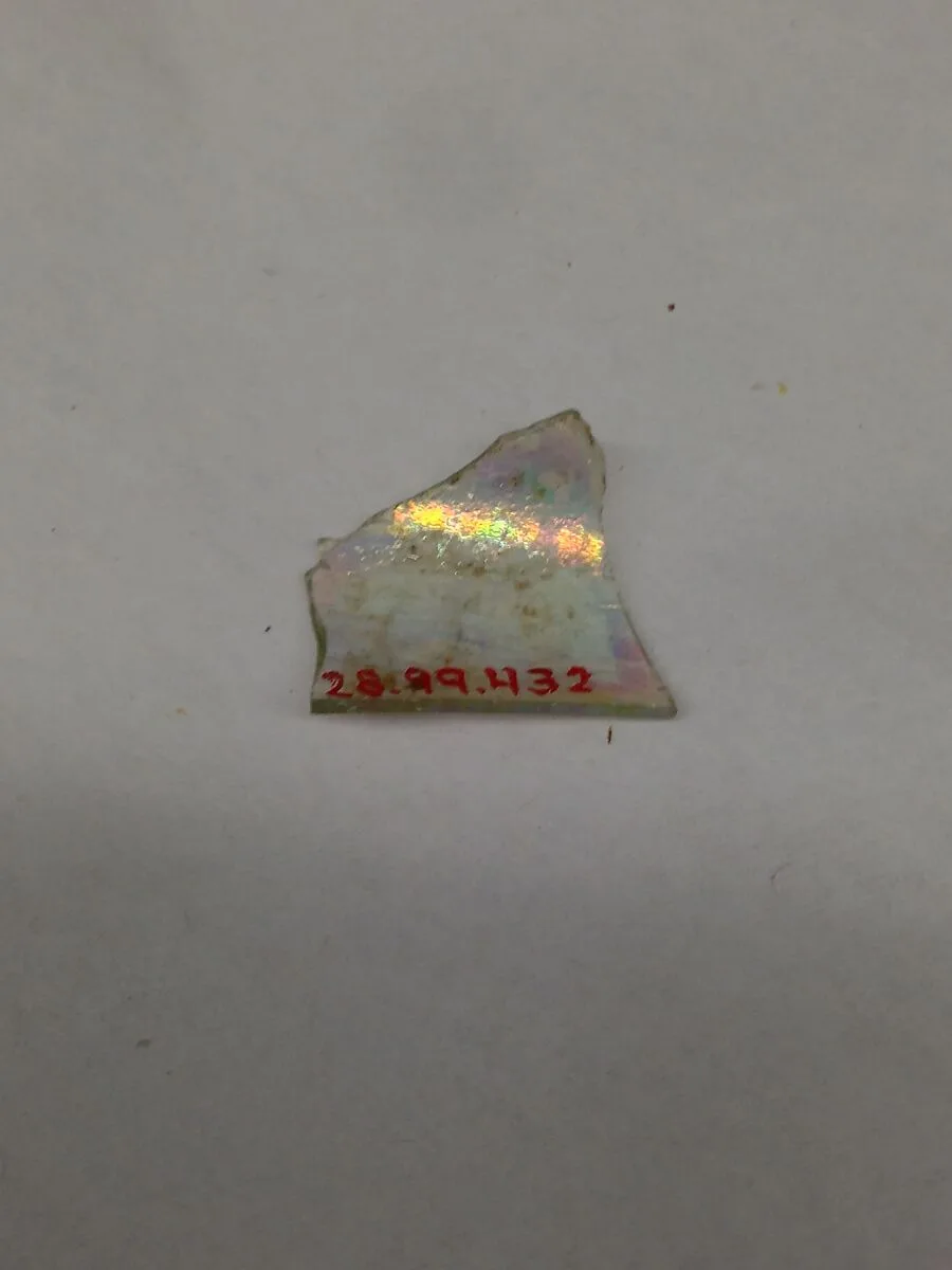 Fragment — Unknown