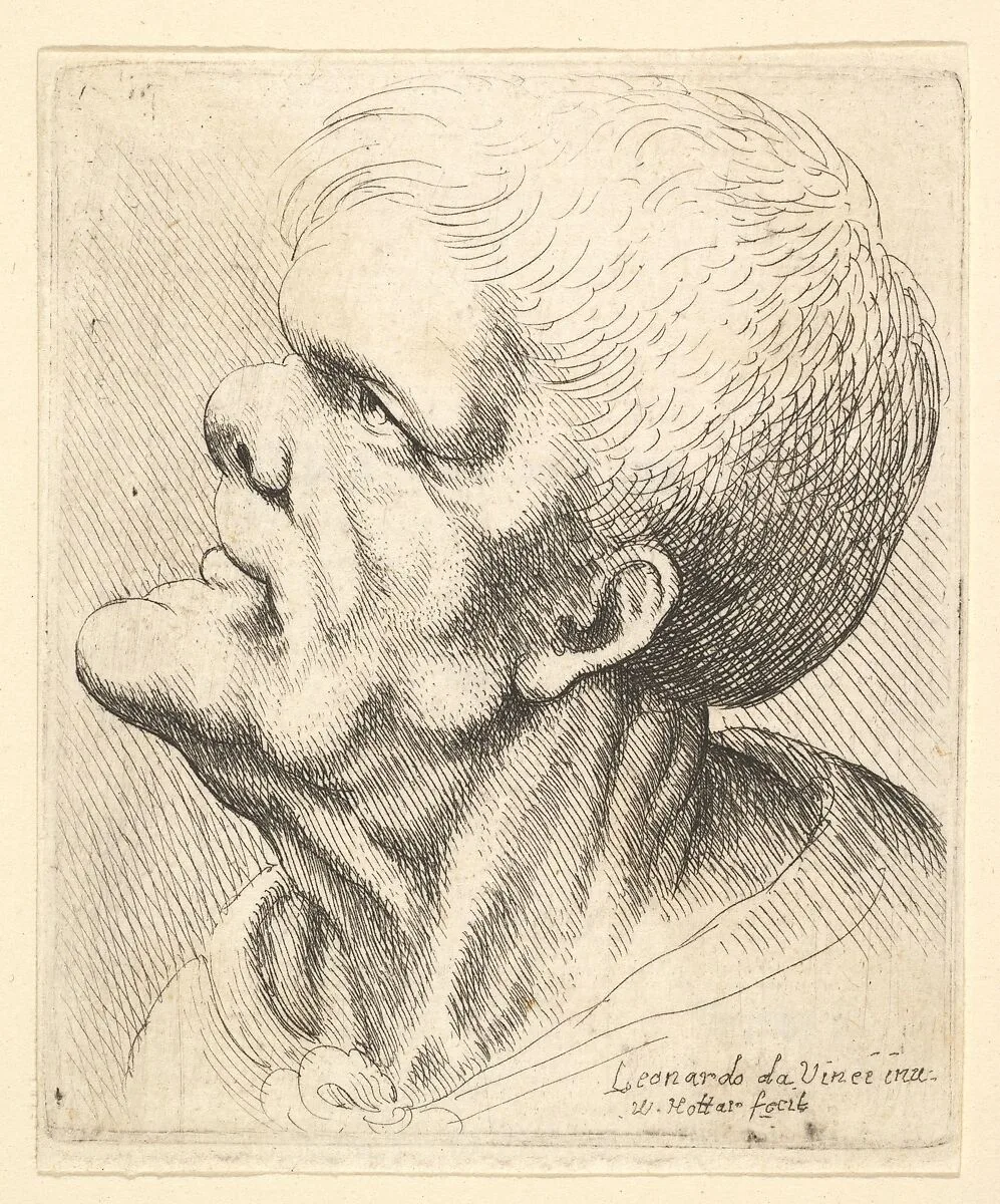Head of a man with protruding chin and snub nose looking upwards in profile to left — Leonardo da Vinci|Wenceslaus Hollar