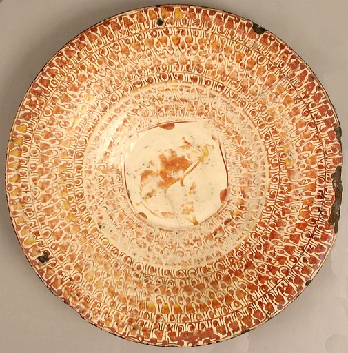 Dish