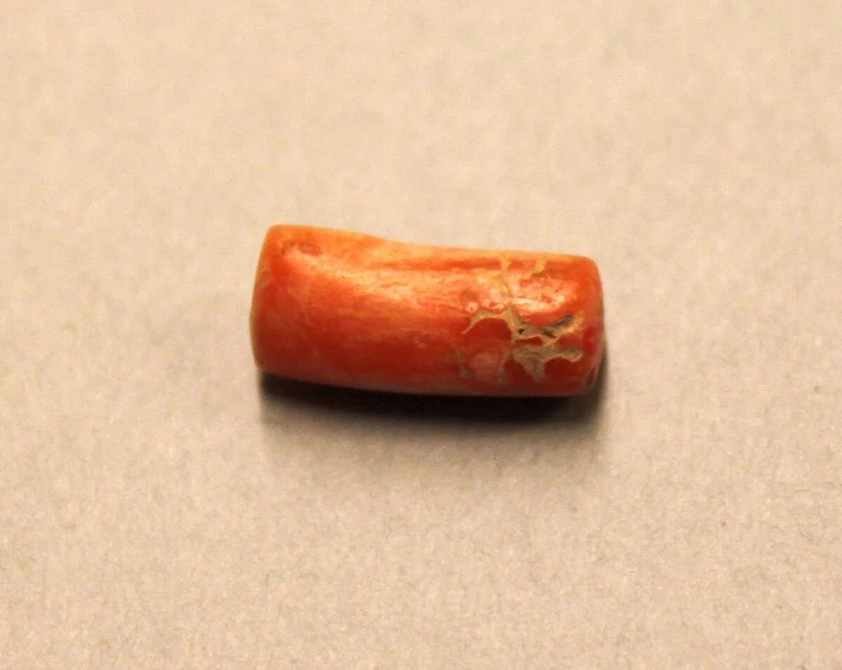 Bead — Unknown