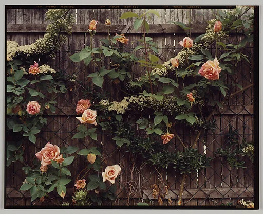 Giverny