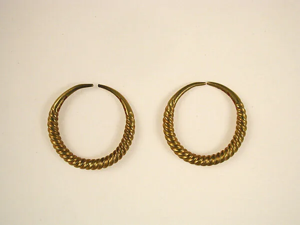 Earrings — Unknown