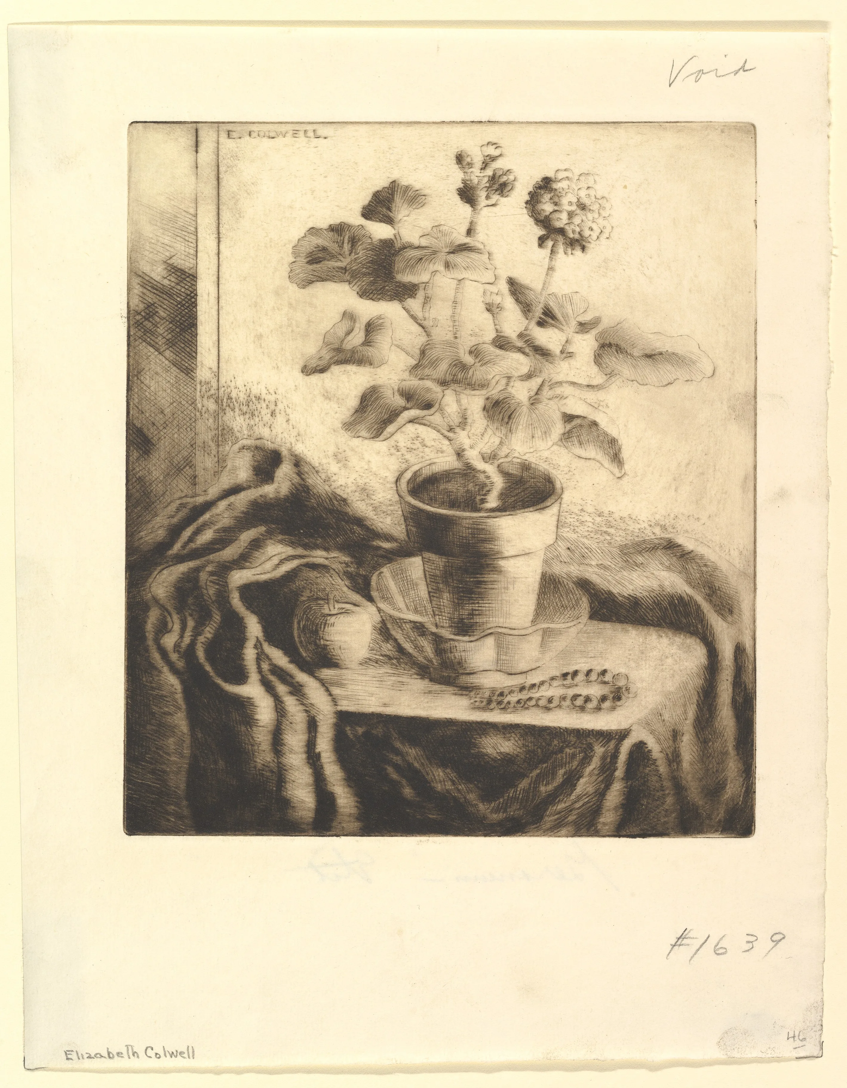 Geranium — Elizabeth Colwell|WPA
