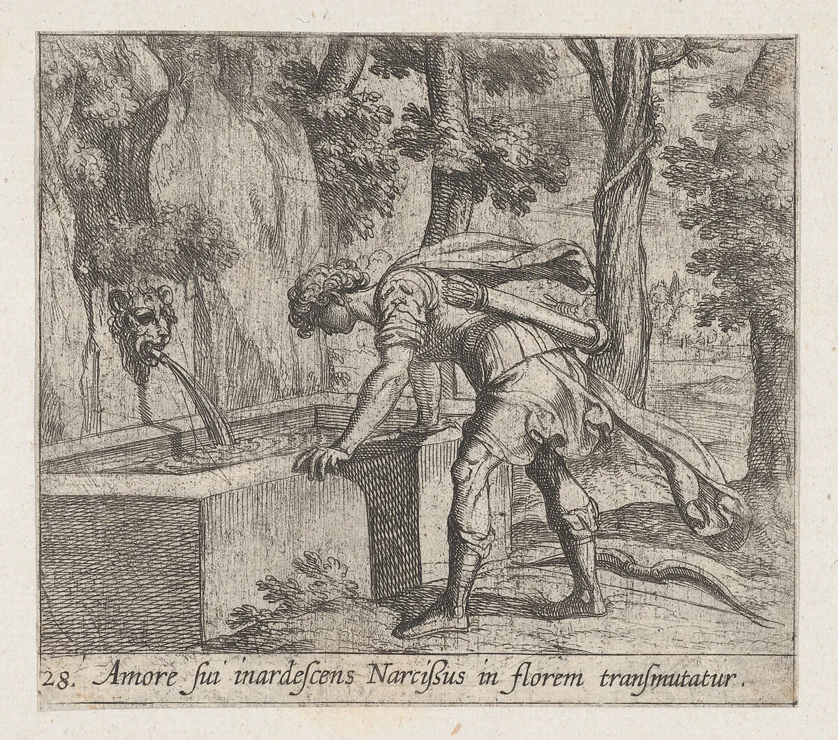 Plate 28: Narcissus at the Well (Amore fui inardescens Narcißus in florem transmutatur), from Ovid's 'Metamorphoses' — Antonio Tempesta