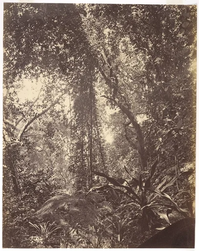 View in Camoens Garden Macao
