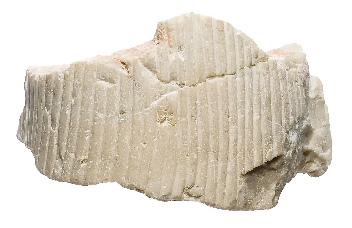 Part of a tripartite wig. — Unknown
